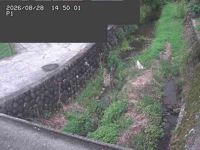 新興寺谷川１2026/08/28 17:30:00