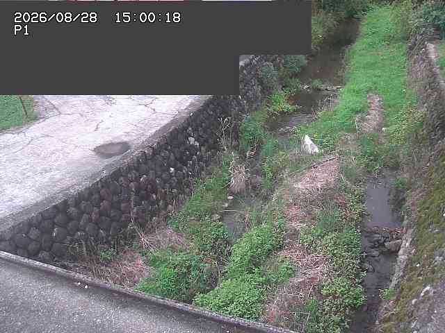 新興寺谷川１2026/08/28 17:30:00