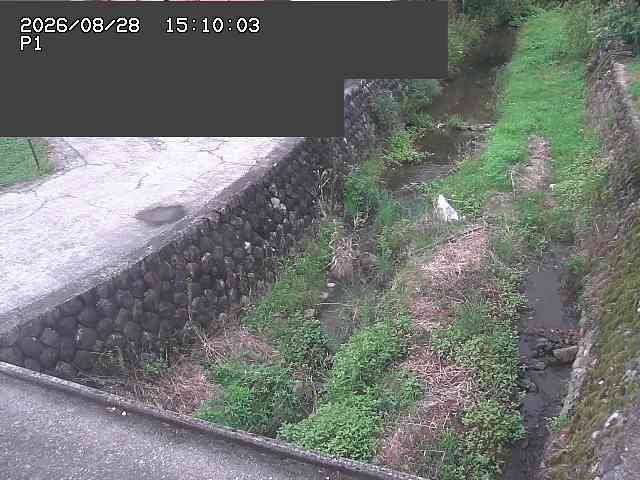 新興寺谷川１2026/08/28 17:30:00