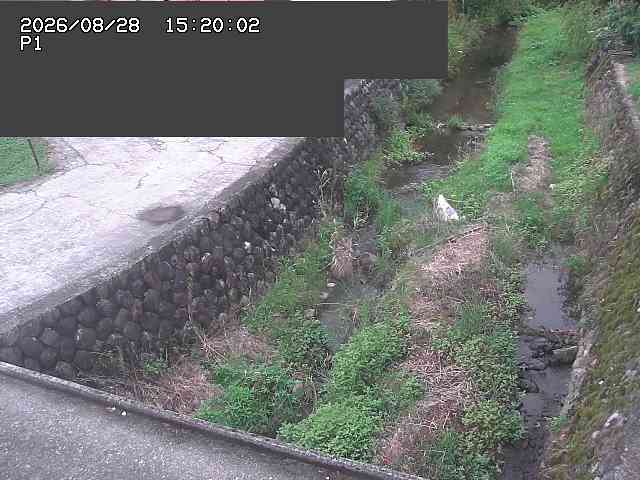 新興寺谷川１2026/08/28 17:30:00