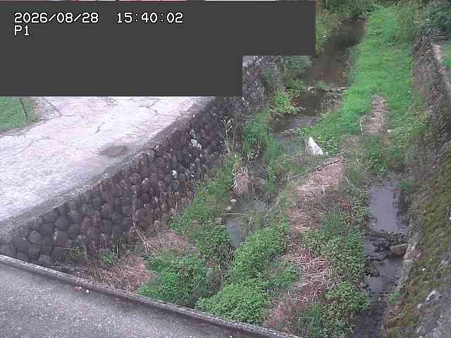 新興寺谷川１2026/08/28 17:30:00