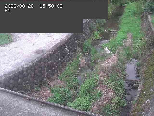 新興寺谷川１2026/08/28 17:30:00