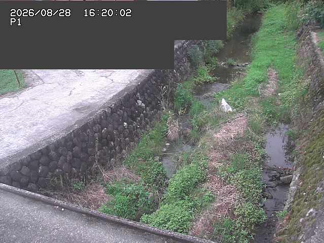 新興寺谷川１2026/08/28 17:30:00