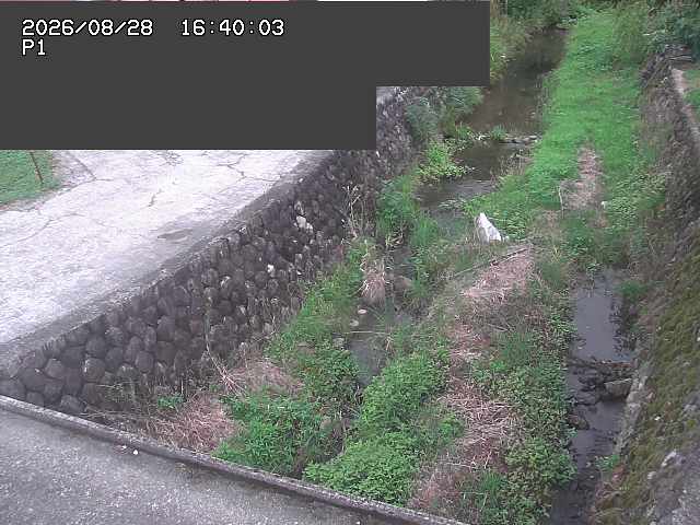 新興寺谷川１2026/08/28 17:30:00