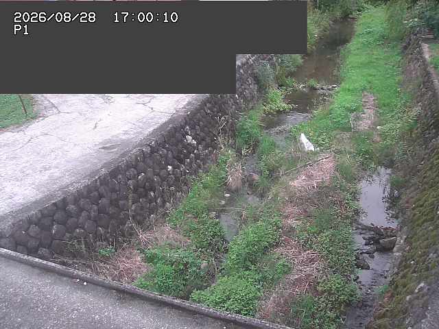 新興寺谷川１2026/08/28 17:30:00