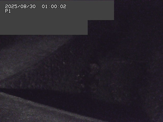 新興寺谷川１2025/08/31 0:50:00