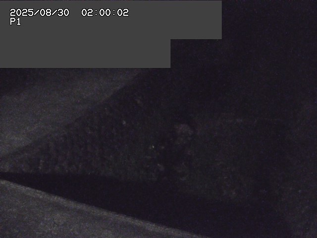 新興寺谷川１2025/08/31 0:50:00