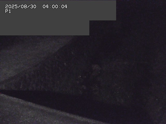 新興寺谷川１2025/08/31 0:50:00