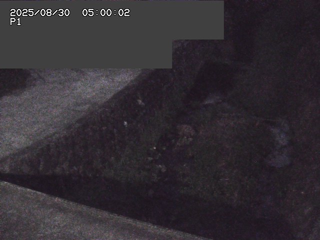 新興寺谷川１2025/08/31 0:50:00