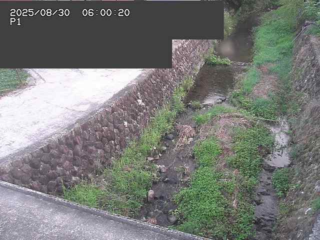 新興寺谷川１2025/08/31 0:50:00