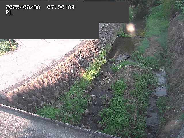 新興寺谷川１2025/08/31 0:50:00