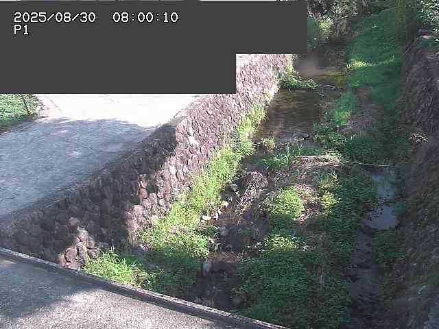 新興寺谷川１2025/08/31 0:50:00