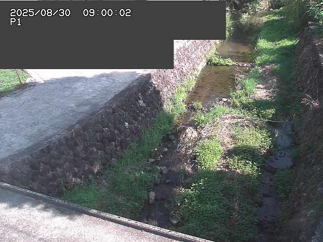 新興寺谷川１2025/08/31 0:50:00