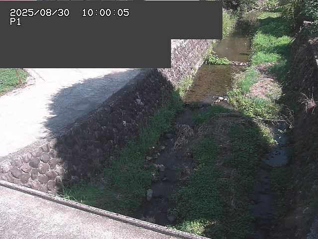 新興寺谷川１2025/08/31 0:50:00