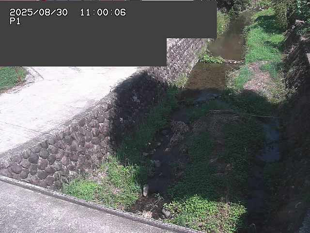 新興寺谷川１2025/08/31 0:50:00