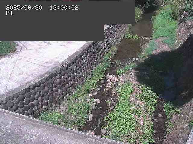 新興寺谷川１2025/08/31 0:50:00
