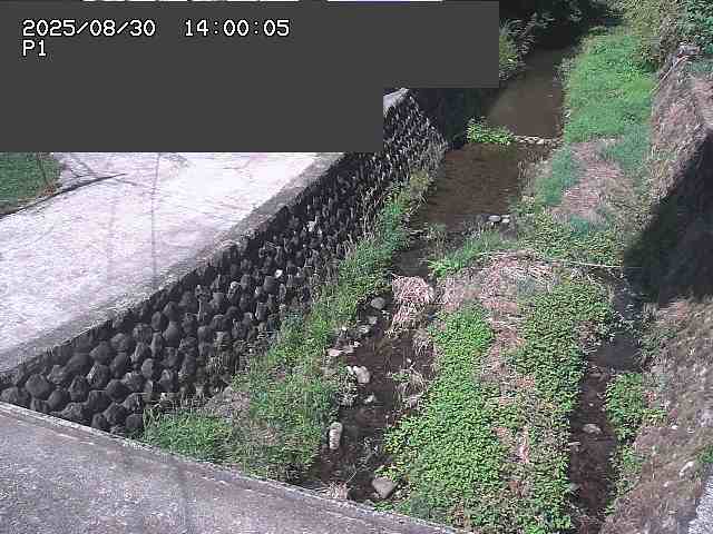 新興寺谷川１2025/08/31 0:50:00