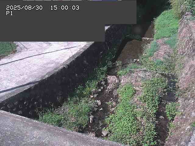 新興寺谷川１2025/08/31 0:50:00