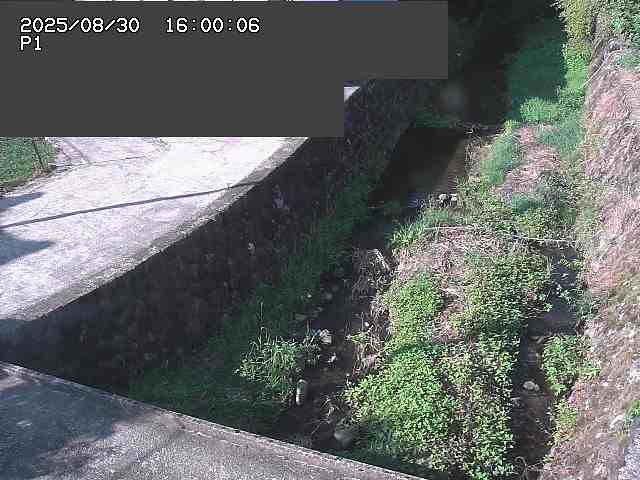新興寺谷川１2025/08/31 0:50:00