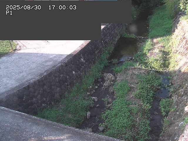 新興寺谷川１2025/08/31 0:50:00