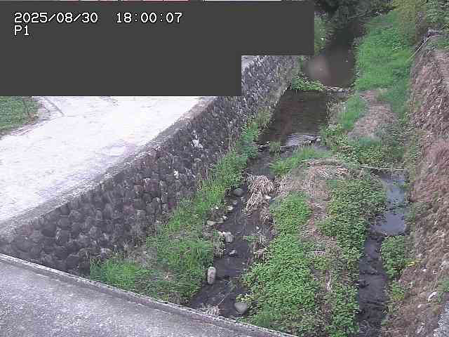 新興寺谷川１2025/08/31 0:50:00