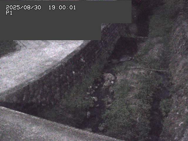 新興寺谷川１2025/08/31 0:50:00