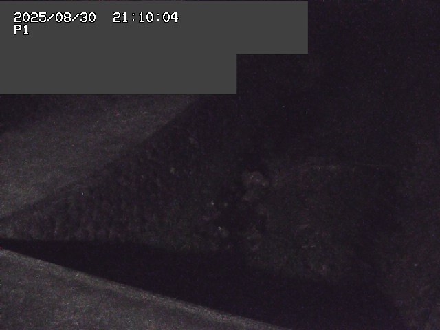 新興寺谷川１2025/08/31 0:50:00