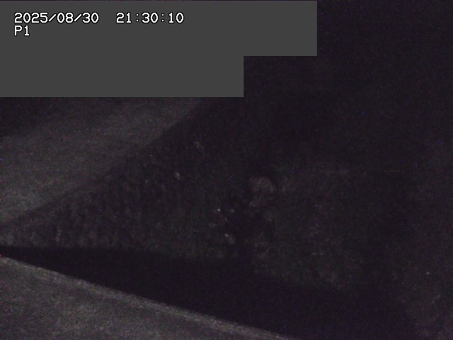 新興寺谷川１2025/08/31 0:50:00