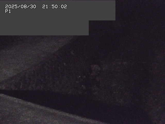 新興寺谷川１2025/08/31 0:50:00
