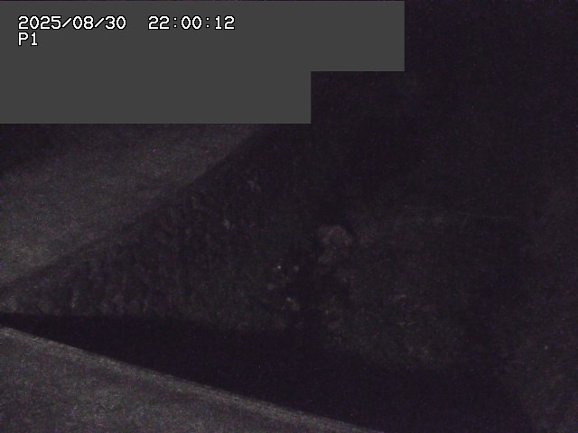 新興寺谷川１2025/08/31 0:50:00