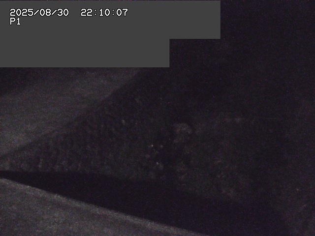 新興寺谷川１2025/08/31 0:50:00