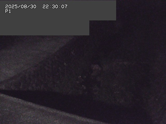 新興寺谷川１2025/08/31 0:50:00
