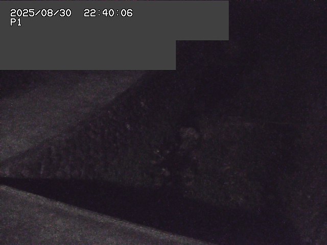 新興寺谷川１2025/08/31 0:50:00