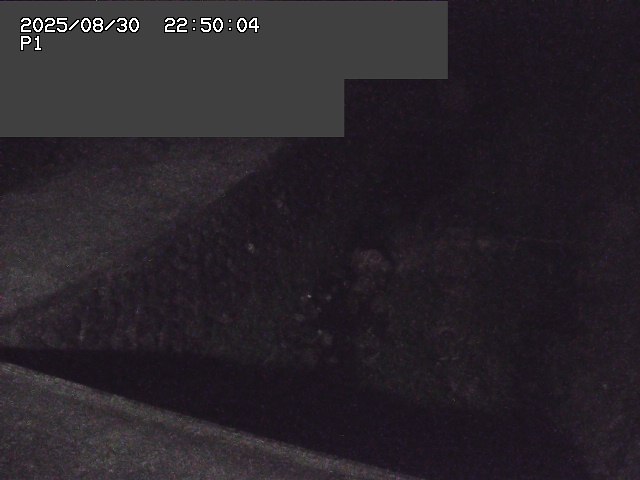 新興寺谷川１2025/08/31 0:50:00