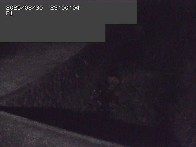 新興寺谷川１2025/08/31 0:50:00