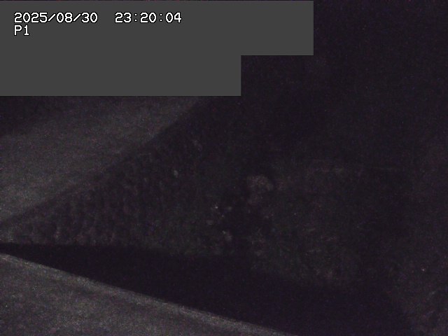 新興寺谷川１2025/08/31 0:50:00