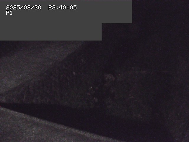 新興寺谷川１2025/08/31 0:50:00