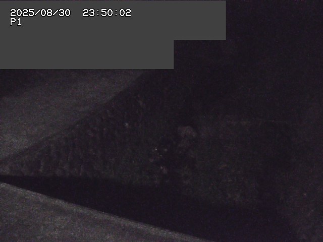 新興寺谷川１2025/08/31 0:50:00