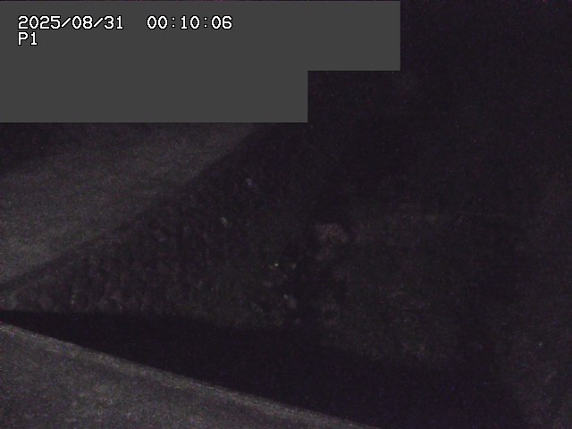 新興寺谷川１2025/08/31 0:50:00