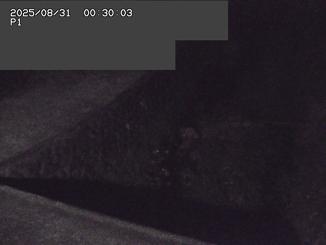 新興寺谷川１2025/08/31 0:50:00
