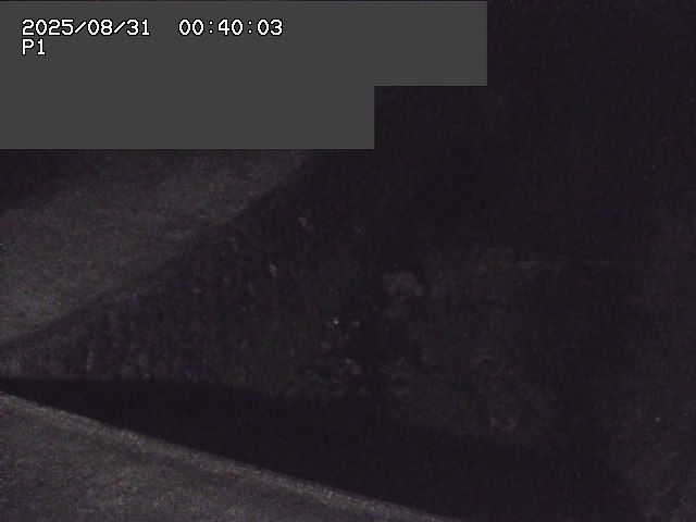 新興寺谷川１2025/08/31 0:50:00