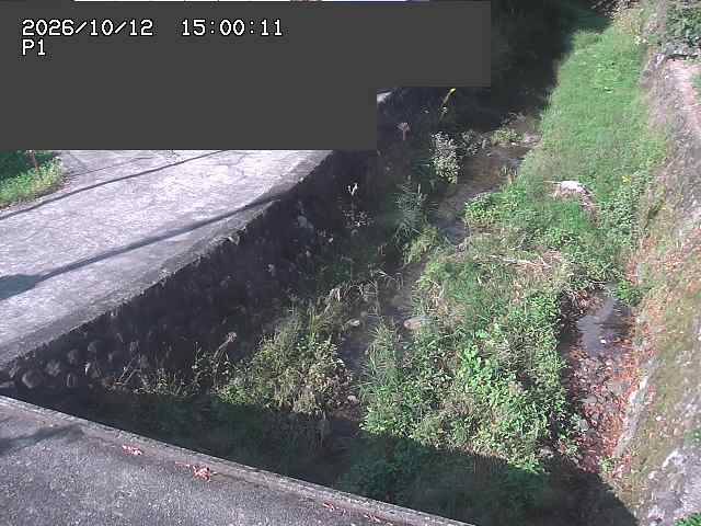 新興寺谷川１2026/10/13 14:30:00