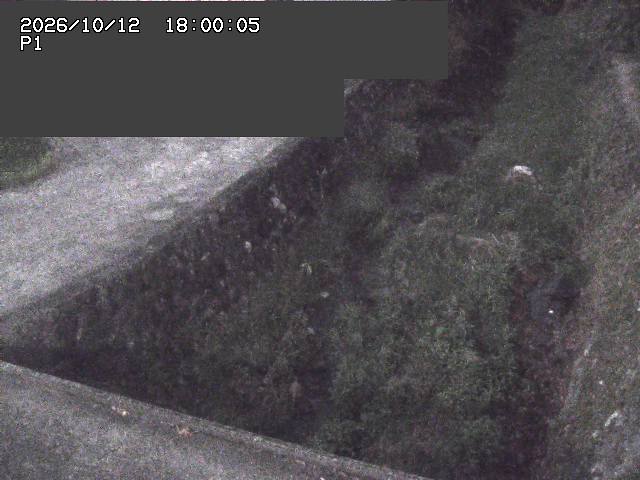 新興寺谷川１2026/10/13 14:30:00
