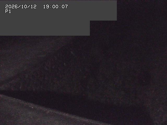 新興寺谷川１2026/10/13 14:30:00