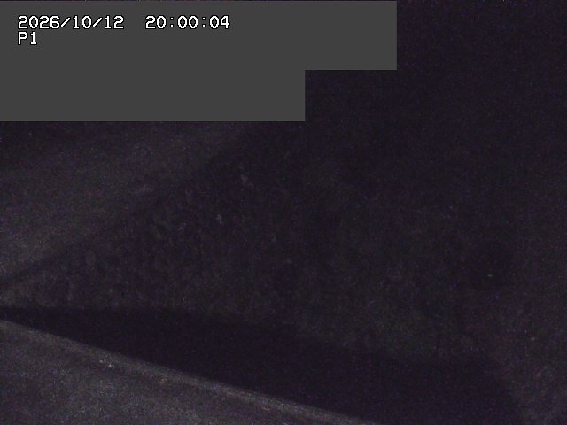 新興寺谷川１2026/10/13 14:30:00
