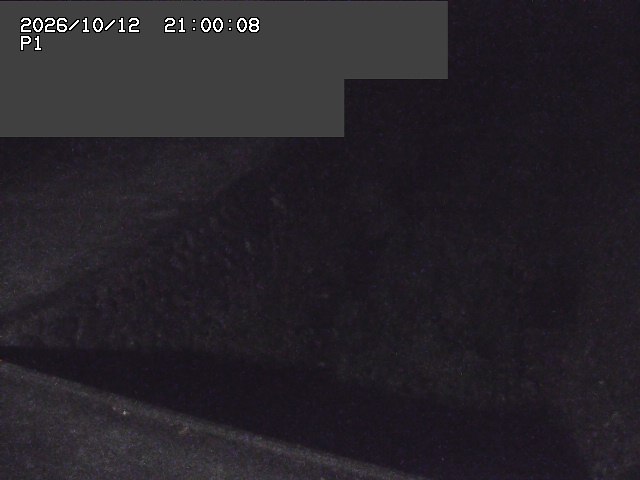 新興寺谷川１2026/10/13 14:30:00