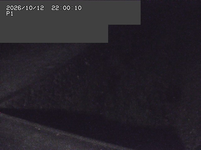 新興寺谷川１2026/10/13 14:30:00