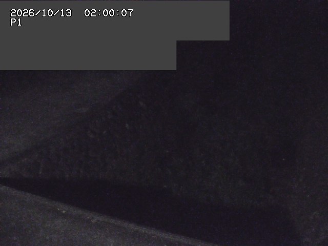 新興寺谷川１2026/10/13 14:30:00