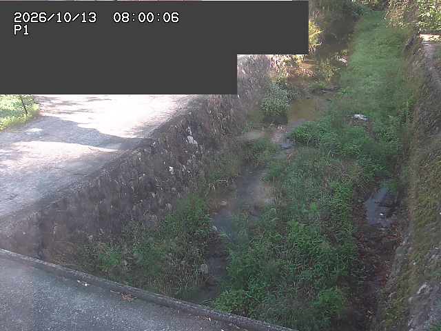 新興寺谷川１2026/10/13 14:30:00