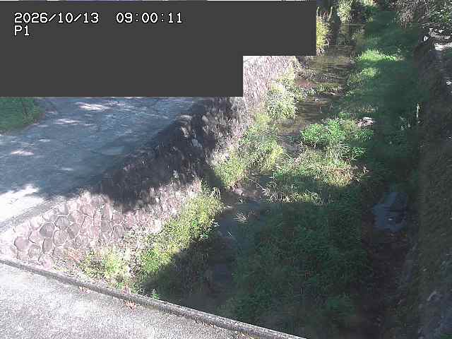 新興寺谷川１2026/10/13 14:30:00